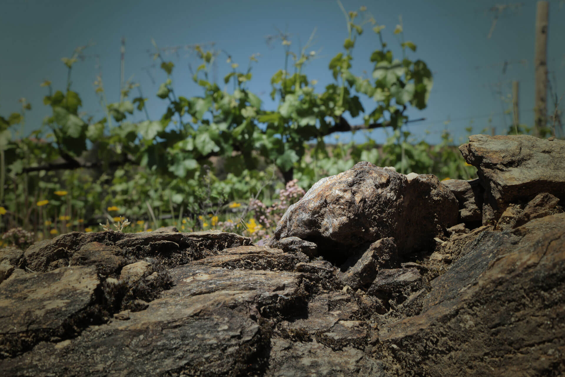 Quinta de Celorico