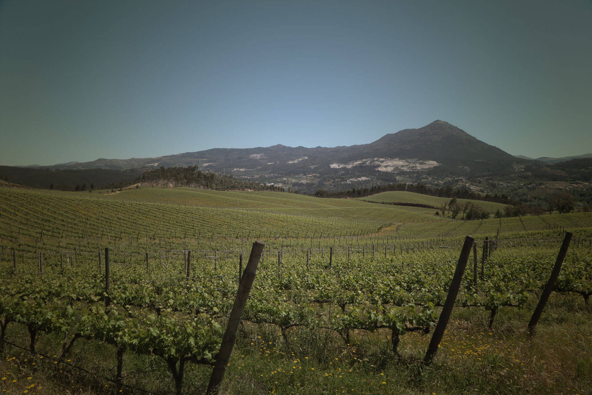 Quinta de Celorico