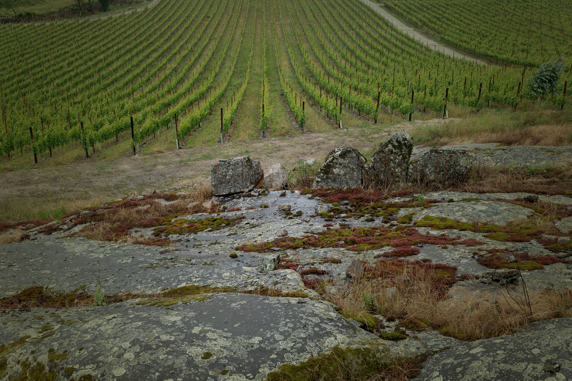 Quinta de Ruivães