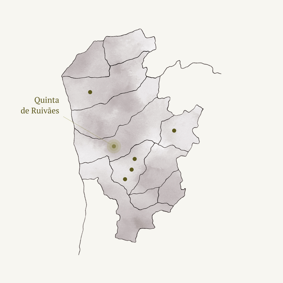 Quinta de Ruivães